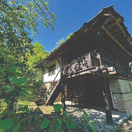Guest House Cana Mihova بوجينتسي المظهر الخارجي الصورة