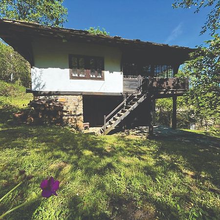 Guest House Cana Mihova بوجينتسي المظهر الخارجي الصورة